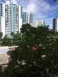 Blk 533 Panshan Grove (Bukit Panjang), HDB 5 Rooms #575740701
